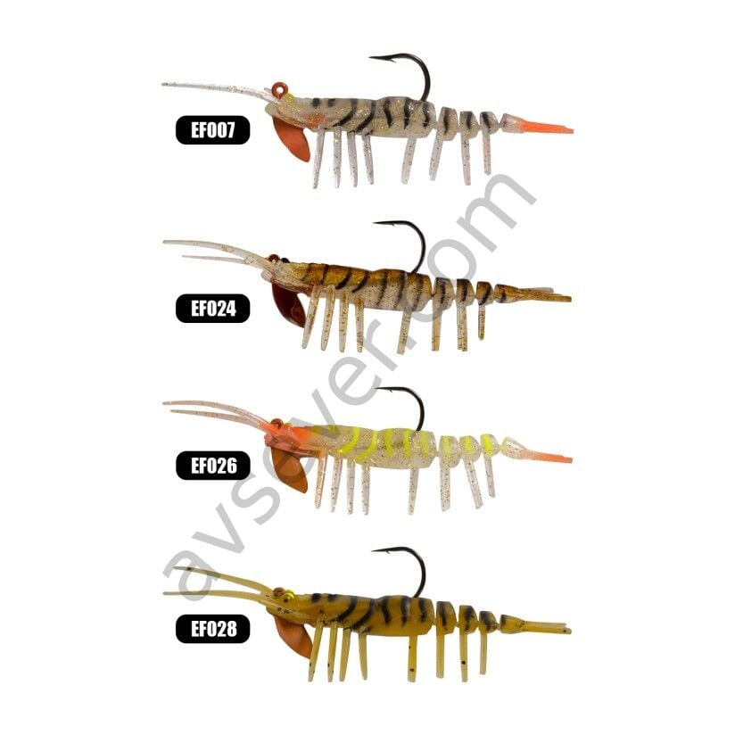 Effe Sasi Caridina HG07