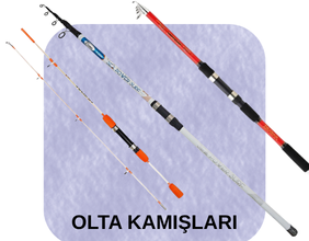 OLTA KAMIŞLARI